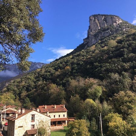 Albergue Cabrales カレニャ・デ・カブラレス エクステリア 写真